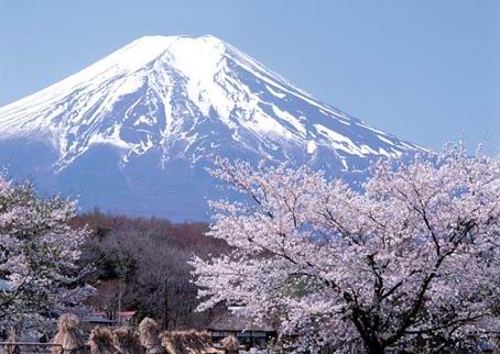 fuji-mountain.jpg